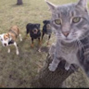 Meet your Posher, Daisy